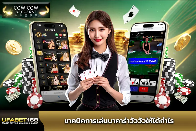 เทคนิคการเล่นบาคาร่าวัววัว